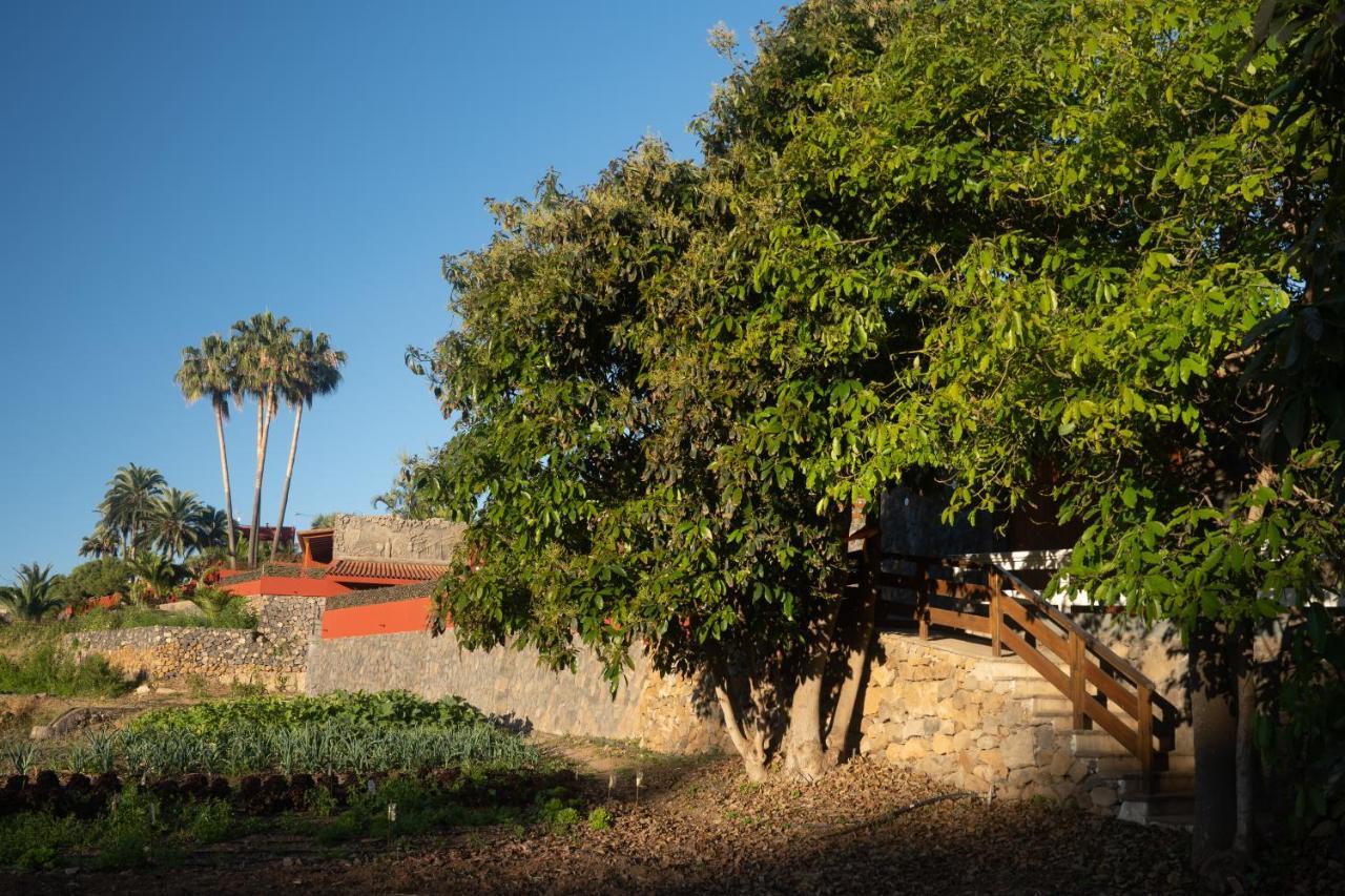 Finca Pico Los Realejos Exterior photo